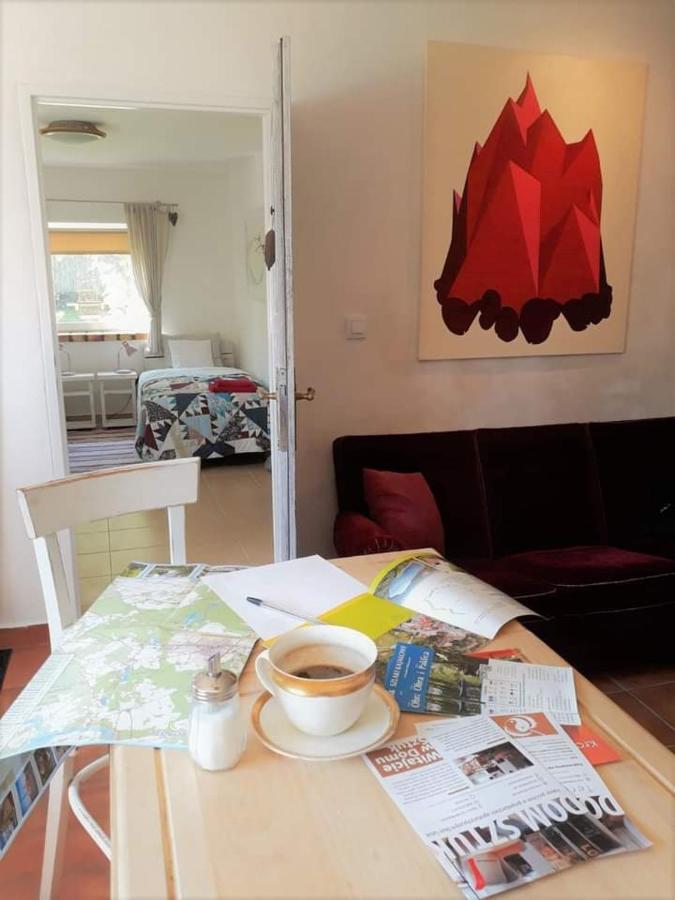 Dom Sztuk - House Of Arts Appartement Międzyrzecz Buitenkant foto